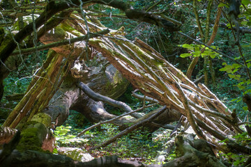 Source of the River Urederra in Urbasa mountain range, Navarra, Spain