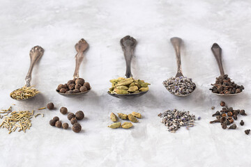 A display of dried culinary herbs and spices in a row on silver spoons on grey background