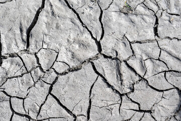 Abstract Background-dried cracked mud