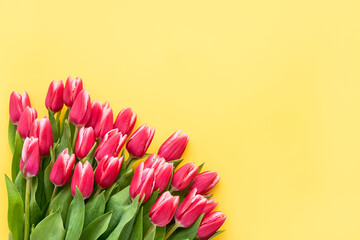 Bright pink tulips bouquet on a yellow background. Mothers Day, Valentines Day, birthday celebration concept.