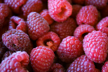 Raspberries. Raspberry background. Ripe raspberries.