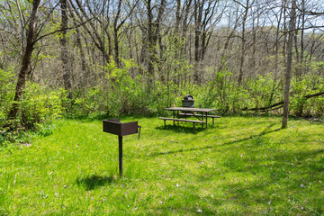 Picnic area in the park.