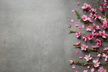 Beautiful sakura tree blossoms on grey background, flat lay. Space for text