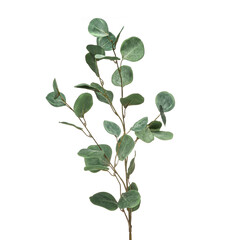 Realistic flowers and plants for designer compositions and interior decoration of residential and...