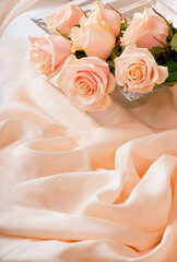 pink roses with dew drops lies on a delicate silk background