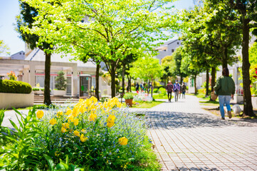 春の花が咲く住宅街