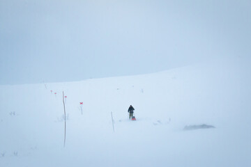 Getting into a snowstorm while snowshoeing Kingsleden trail, April, Swedish Lapland