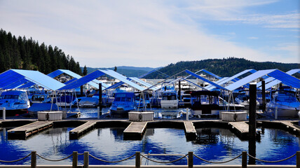 blue boat roofs in marina