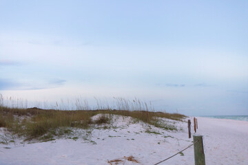 walk among dunes to beach