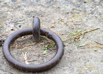 Mooring ring on the river Po, Cremona