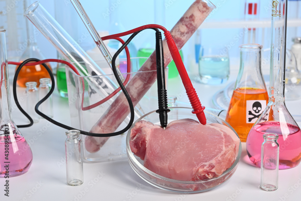 Poster lab test of artificial grown meat with electrodes. meat grown up in laboratory conditions in a petri