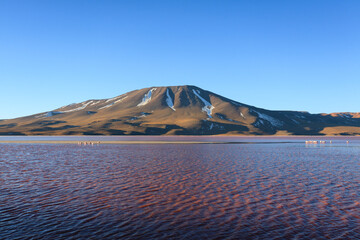 Laguna Colorada view, Bolivia