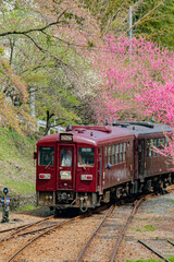 Obraz premium 花桃の季節の神戸駅から見たわたらせ渓谷鉄道