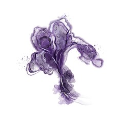 Abstract floral fluid art with purple transparent iris isolated on white 