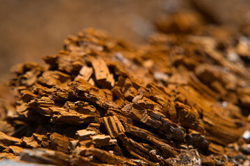 A background image of a close up of the organic texture of a decomposing wood