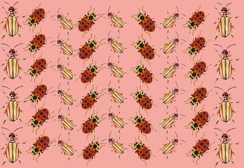 set of watercolor drawing insects, cartoon beetle multicolor doodle, hand drawn illustration