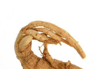 Ginseng on a white background