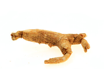 Ginseng on a white background