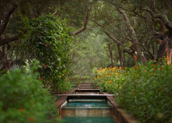 forest wood fantasy garden in park