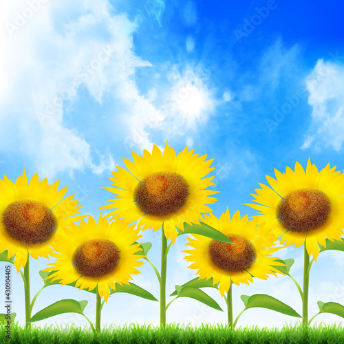 ひまわり 空 風景 背景 Poster Posters Wallsheaven J Boy