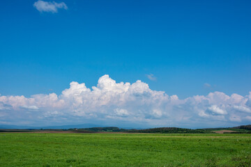 Fototapeta premium 夏の草原と青空