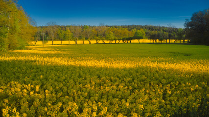 Obraz premium Stockholm Ekero - Aerial view of a autumn field 20-09-01. High quality photo