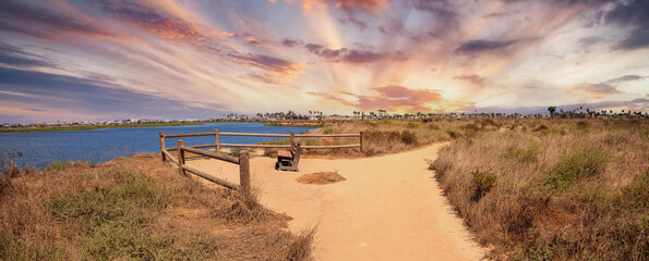 Bench overlooking the peaceful and tranquil marsh of Bolsa Chica wetlands
