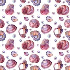 Seamless pattern watercolor brown pink spiral sea shell with bead pearl on white background. Hand-drawn nature realistic object for celebration, stationery, card, wallpaper, textile, wrapping, florist