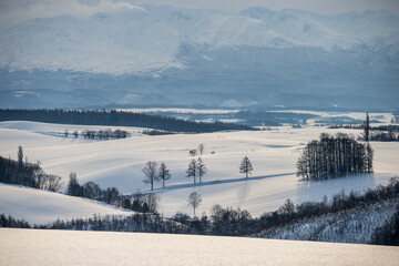 美瑛町の冬景色 五稜の丘