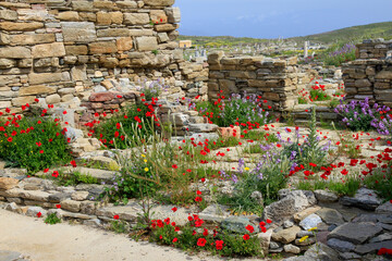 Ancient stone ruins on island of Delos with wildflowers, Cyclades Archipelago, Greece 