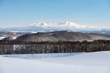 Fototapeta na wymiar 美瑛町の冬景色 大雪山と青空の風景