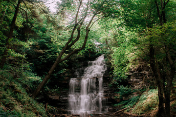 a big waterfall in a bigger forest