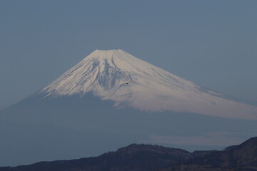 Fototapeta premium 富士とヘリコプター