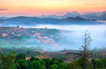 Dawn on plateau in morning covered by fog below, landscape so beautiful idyllic countryside Da Lat plateau, Vietnam