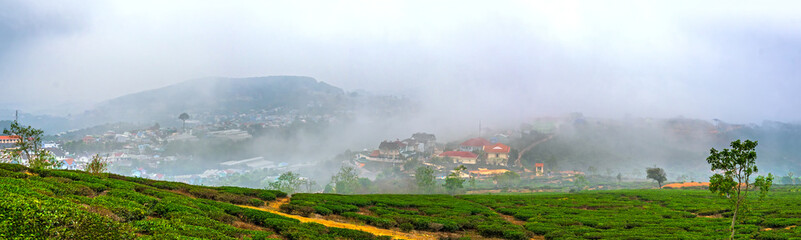 Fototapeta na wymiar A small town under a tea hill valley in the morning with mist covering in the highlands of Da Lat, Vietnam. The place provides a great deal of tea for the whole country