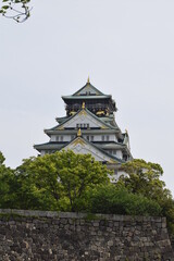 Fototapeta premium 大阪城天守閣