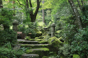 Scenery seen in the Japanese garden,japan,kanagawa