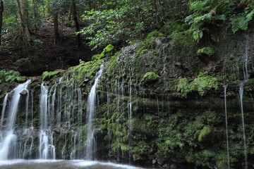 Steamed moss waterfall,japan,kanagawa