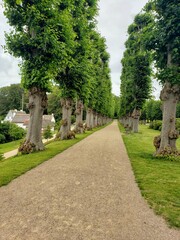 Green Pathway 