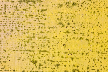 art abstract yellow canvas background