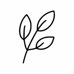 Branch of tree with leaves. Doodle style outline icon.