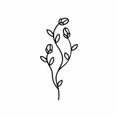 Rosebud on twining branch. Doodle style rose.