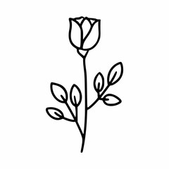 Beautiful rose in doodle style. Branch with a rosebud.