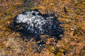 Extinguished fireplace with dry grass nearby.