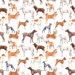 Beautiful seamless pattern with cute watercolor hand drawn dog breeds Cocker spaniel Greyhound Hound Basenji and Russian Greyhound Whippet . Stock illustration.