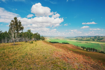 From the top of the hill, a view of the distant mountains of the fields and the edges of trees, grass and planting of plants, the sky with clouds, birches in the mountains and steppes of Khakassia