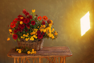 still life with chrysanthemums in basket  on wooden shelf