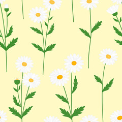Seamless pattern flowers daisy vector illustration