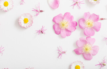 summer flowers on white background