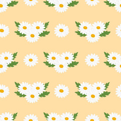 Seamless pattern flowers daisies vector illustration